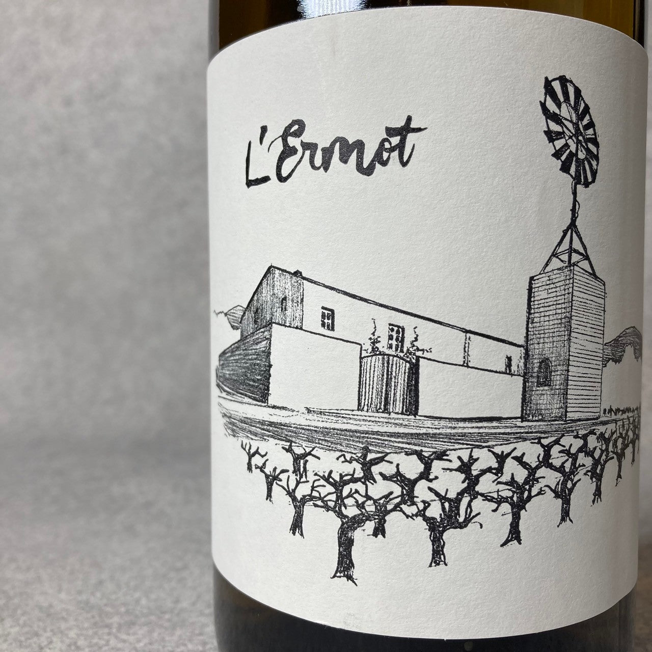 レルモ 2022 / ラ・サラーダ