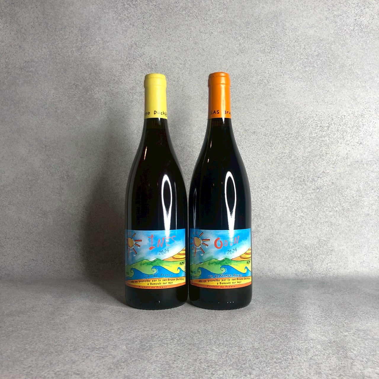 イネス 2024 / ブルノ・デュシェン