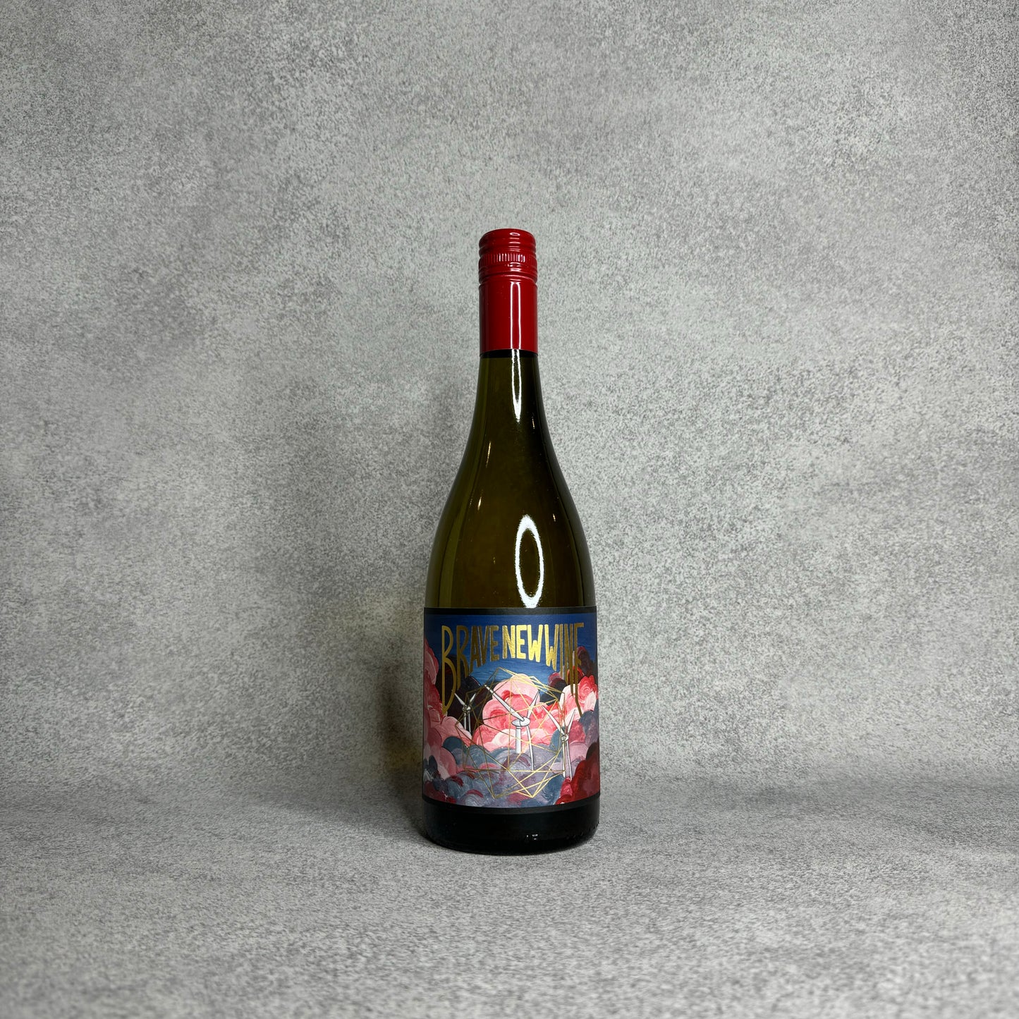 アンディアーモ 2021 / ブレイブ・ニュー・ワイン