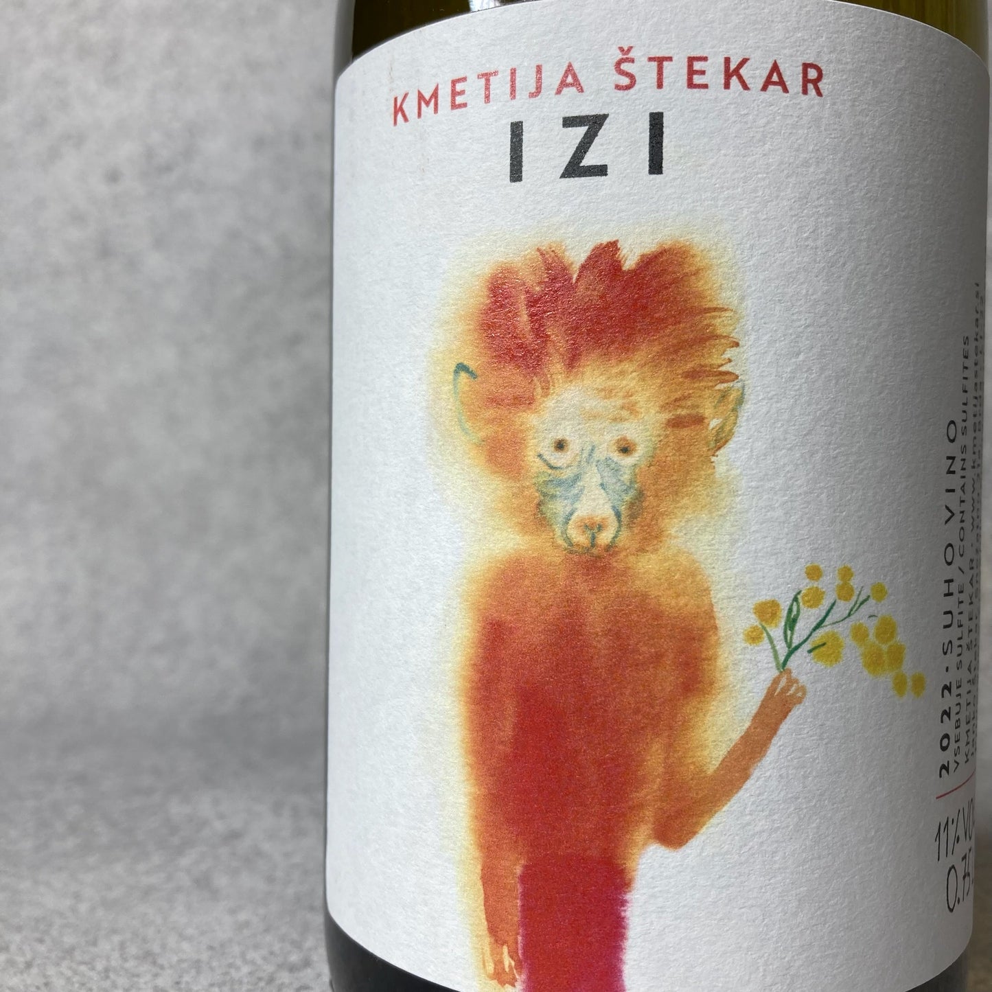 イズィ 2022 / クメティヤ・シュテッカー