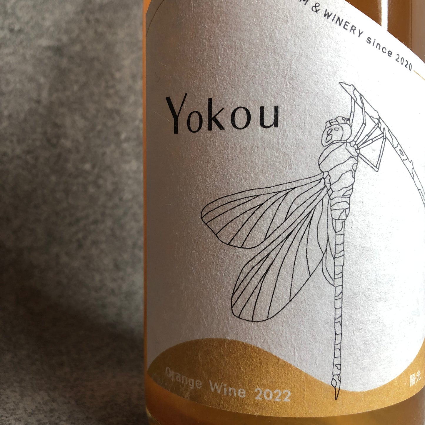 陽光 2022 / モリウミアス ファーム アンド ワイナリー