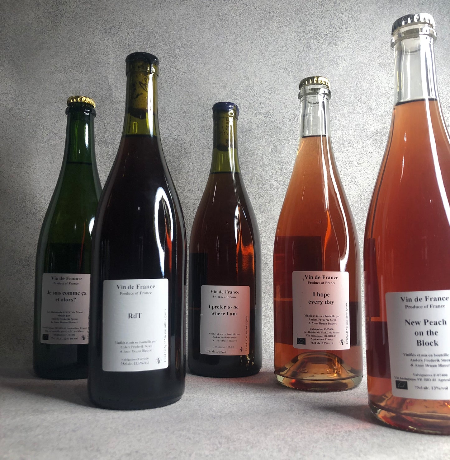 ジュ・スィ・コム・サ・エ・アロー? 2017 / アンダース・フレデリック・スティーン