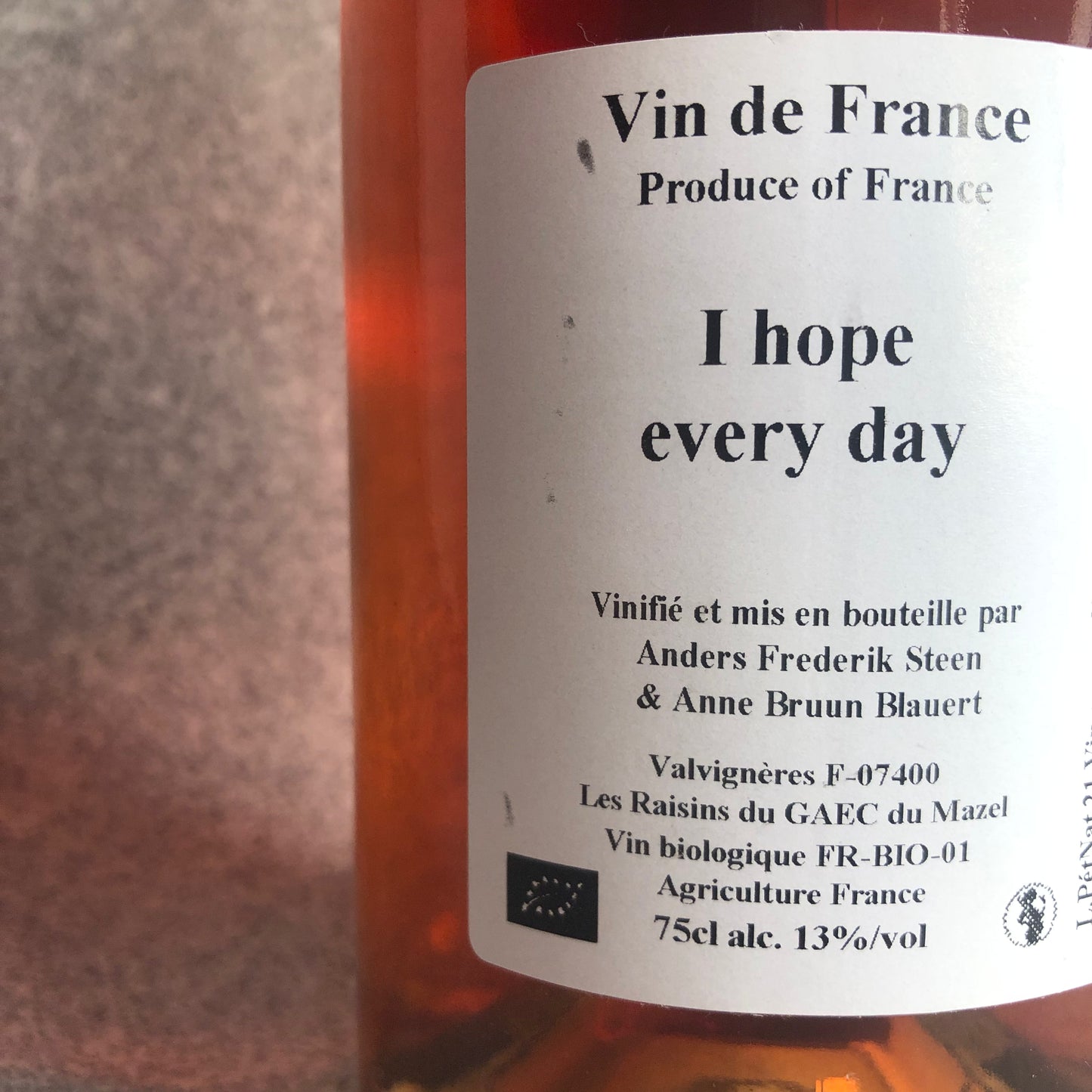 アイ・ホープ・エヴリディ 2021 / アンダース・フレデリック・スティーン