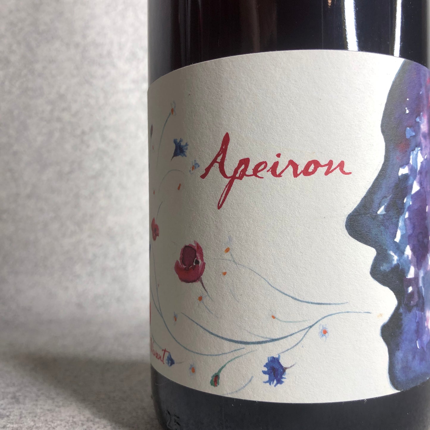 アペイロン 2020 / レ・イノソン(ブルーノ・ヴァコン)