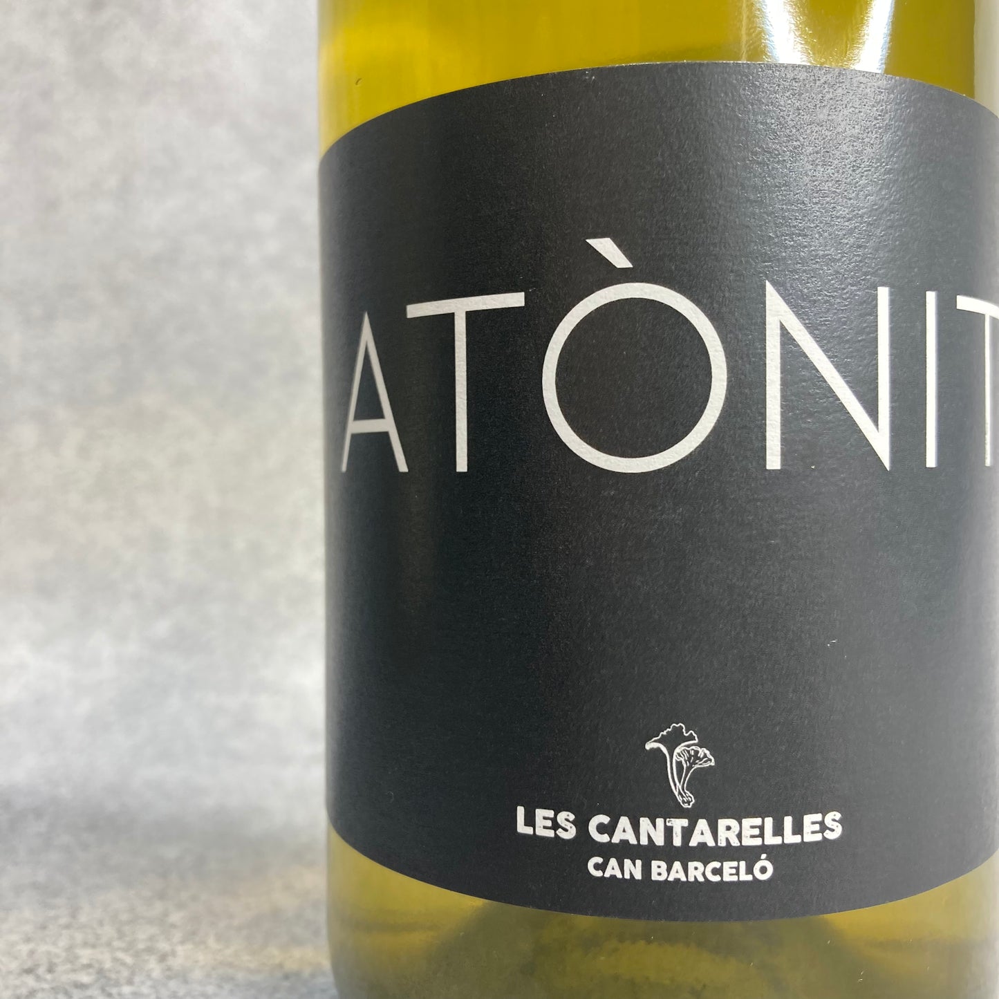 アトニット 2021 / ヌリア・レノム