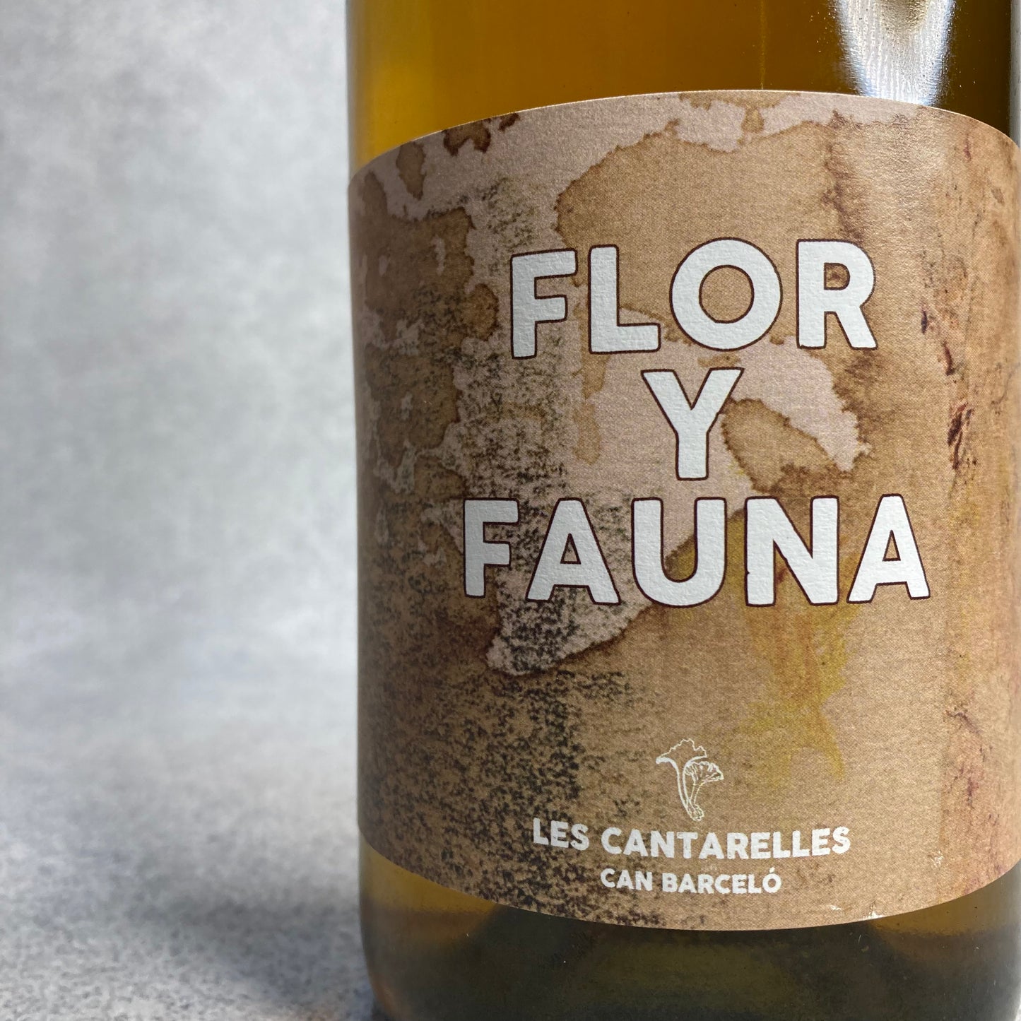 フロール・イ・ファウナ 2021 / ヌリア・レノム