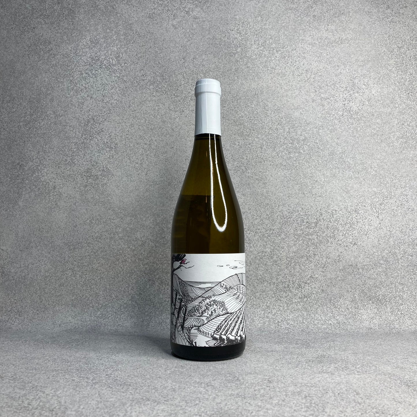 パルダレット 2021 / アルテサーノ・ヴィントナーズ