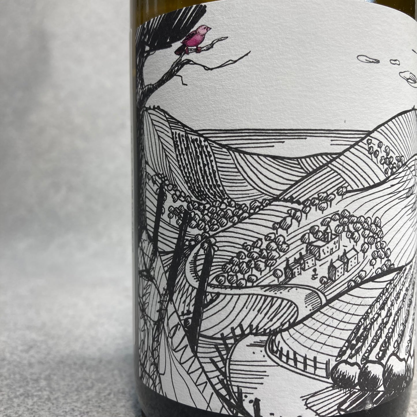 パルダレット 2021 / アルテサーノ・ヴィントナーズ