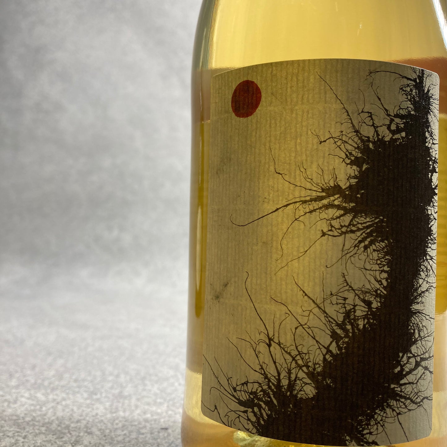 ファレスタ・ピニョレット 2022 / マリア・ボルトロッティ