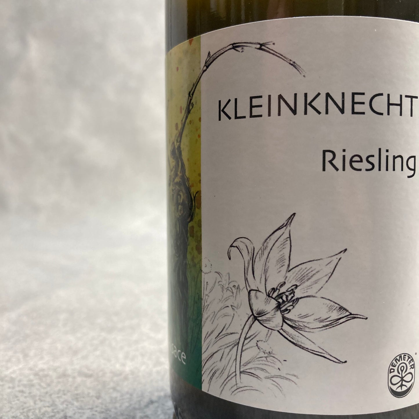 リースリング 2021 / クラインクネヒト