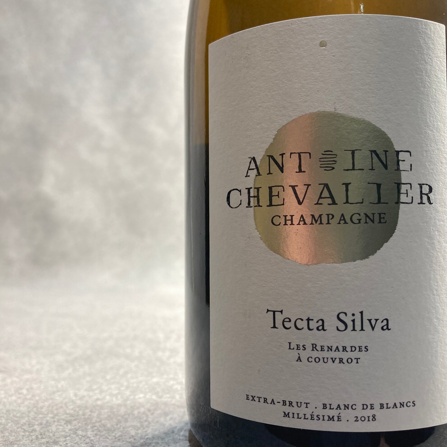 テクタ・シルヴァ 2018 / アントワーヌ・シュヴァリエ