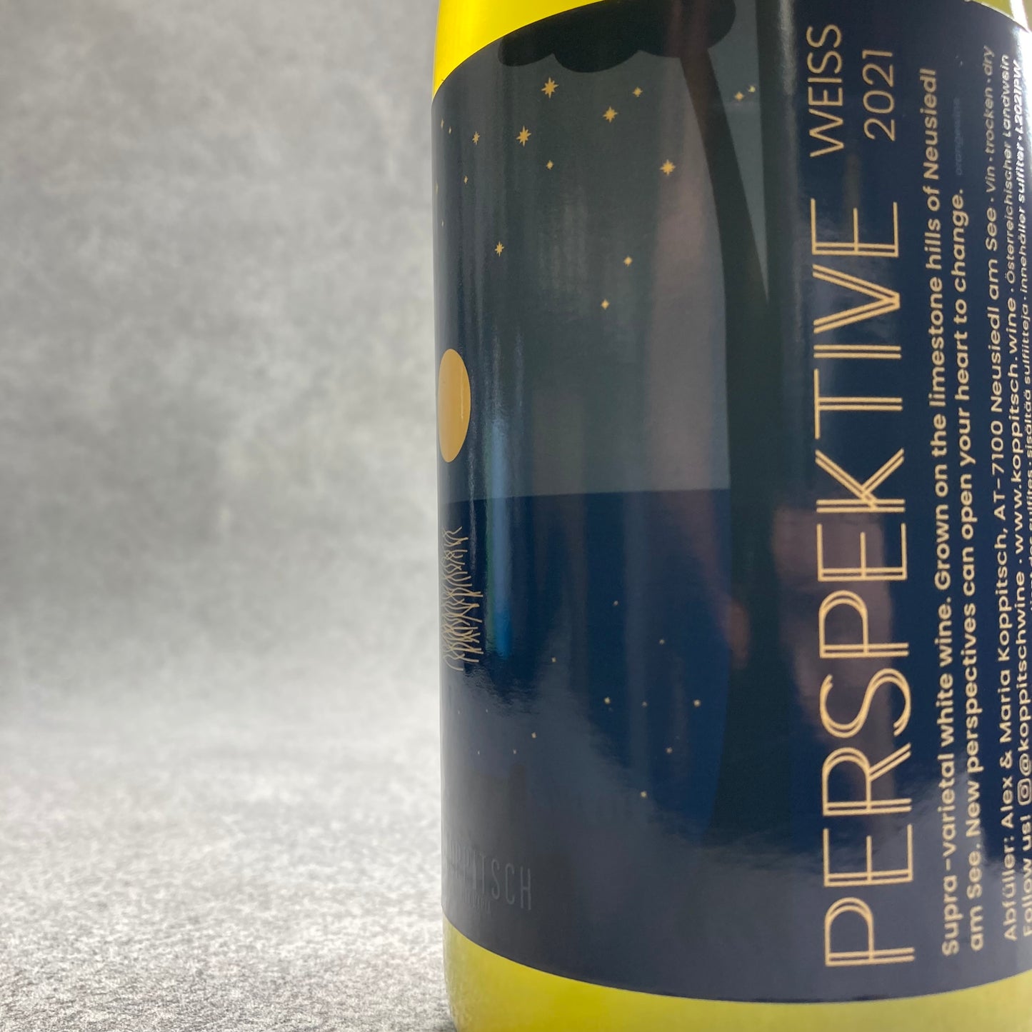 パースペクティブ・ヴァイス 2021 / アレキサンダー・コピッチ