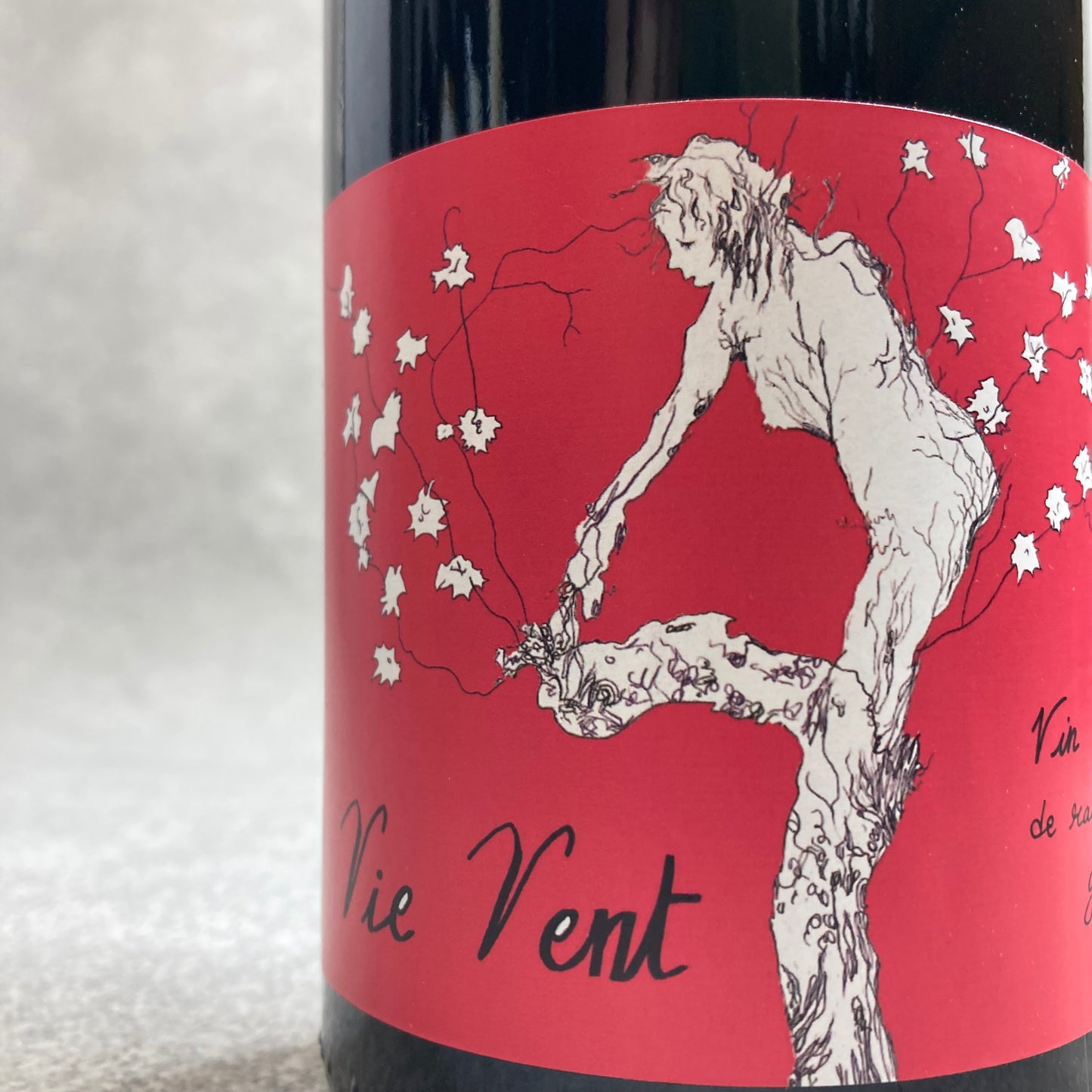 ヴィ・ヴォン 2021 / レ・ヴィーニュ・ド・ラトリ(エリーズ・ハマン)