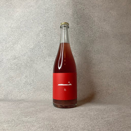 朱 2023 / グレープシップ