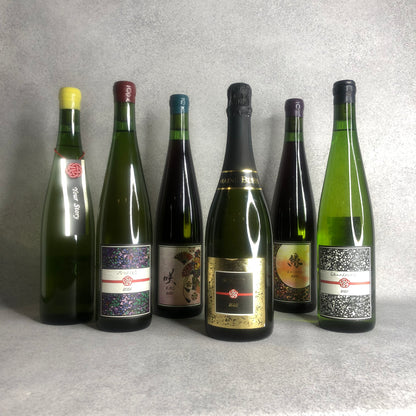 【広島no.503 オープン記念】【セット販売】ドメーヌ・ブレス6本とno.500おすすめ日本ワイン6本の12本セット
