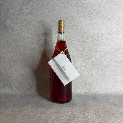 みどりちゃん 2024 / no.505 ワイナリー