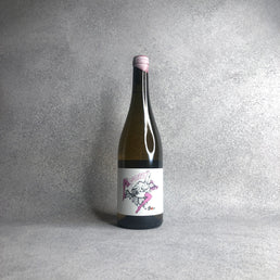 ソルガズム 2020 / ラ・ソルガ