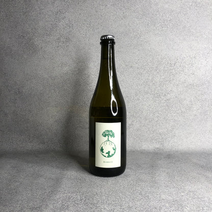 【no.501周年記念】【セット販売】ヴェルリッチ3本&ヴァイングート・タウス3本とno.500おすすめ6本の12本セット (A)