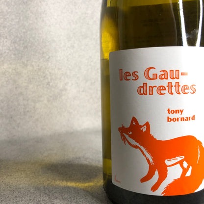 【no.501周年記念】【セット販売】ドメーヌ・ボールナール5本とno.500おすすめ7本の12本セット (B)