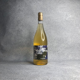 リトル・エブリシング・スティル 2021 / ヌリア・レノム